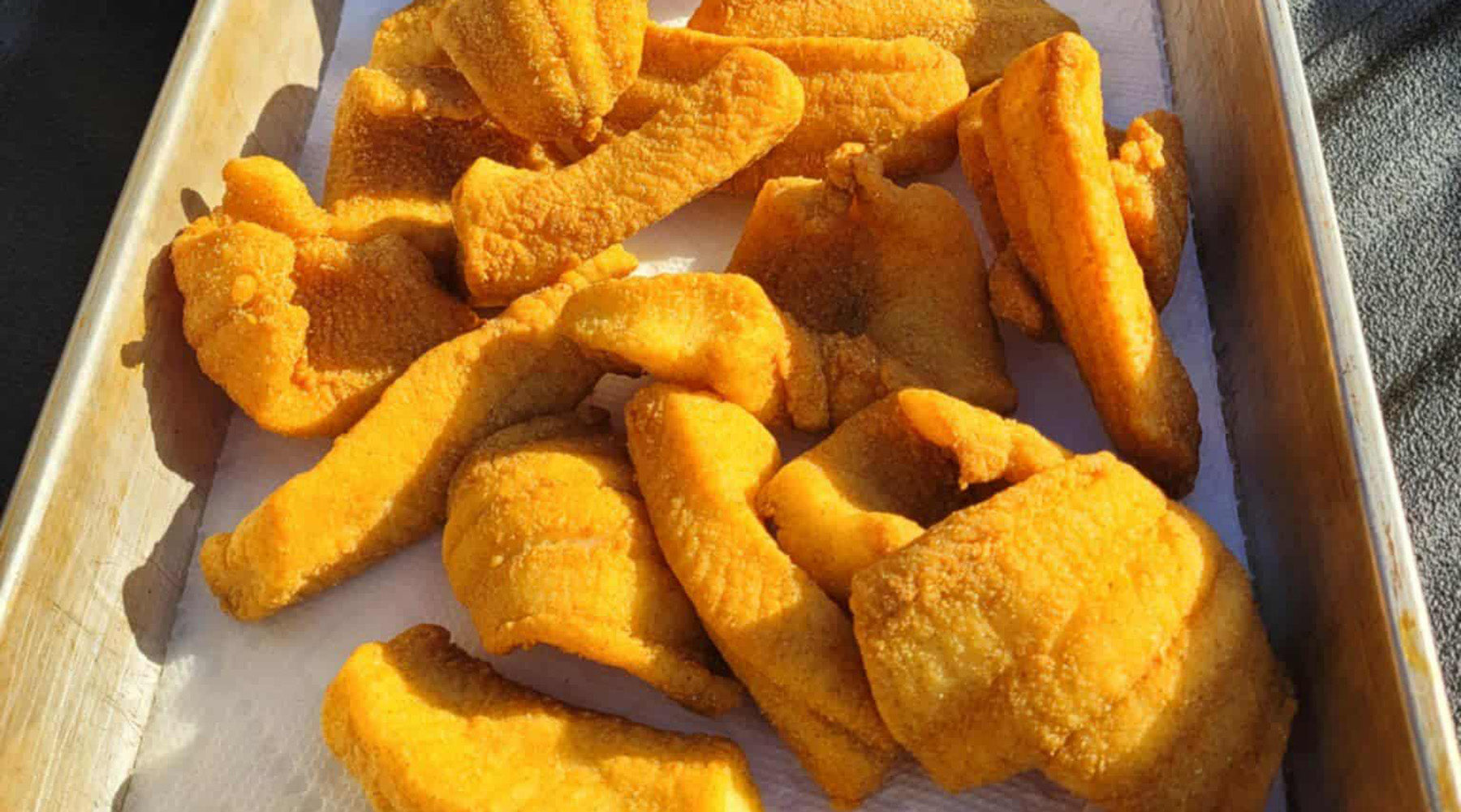 Golden crispy fried fish fillets made with Frenzy Fish Fry Mix, expert tips